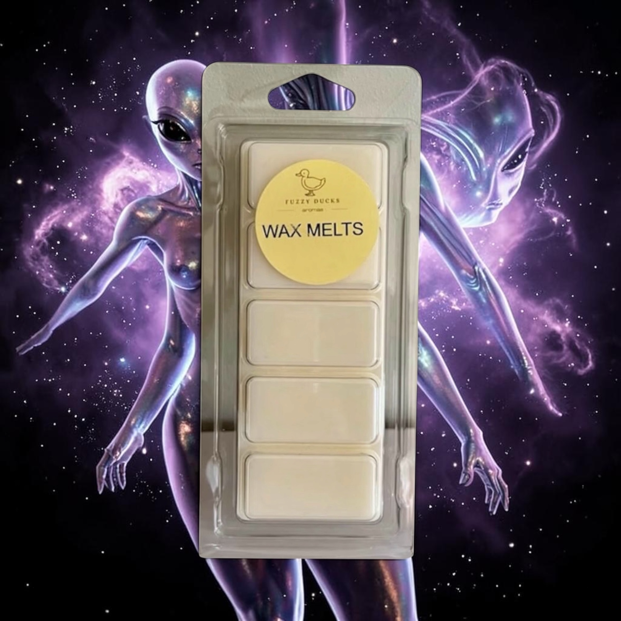 Space Lady Wax Melts