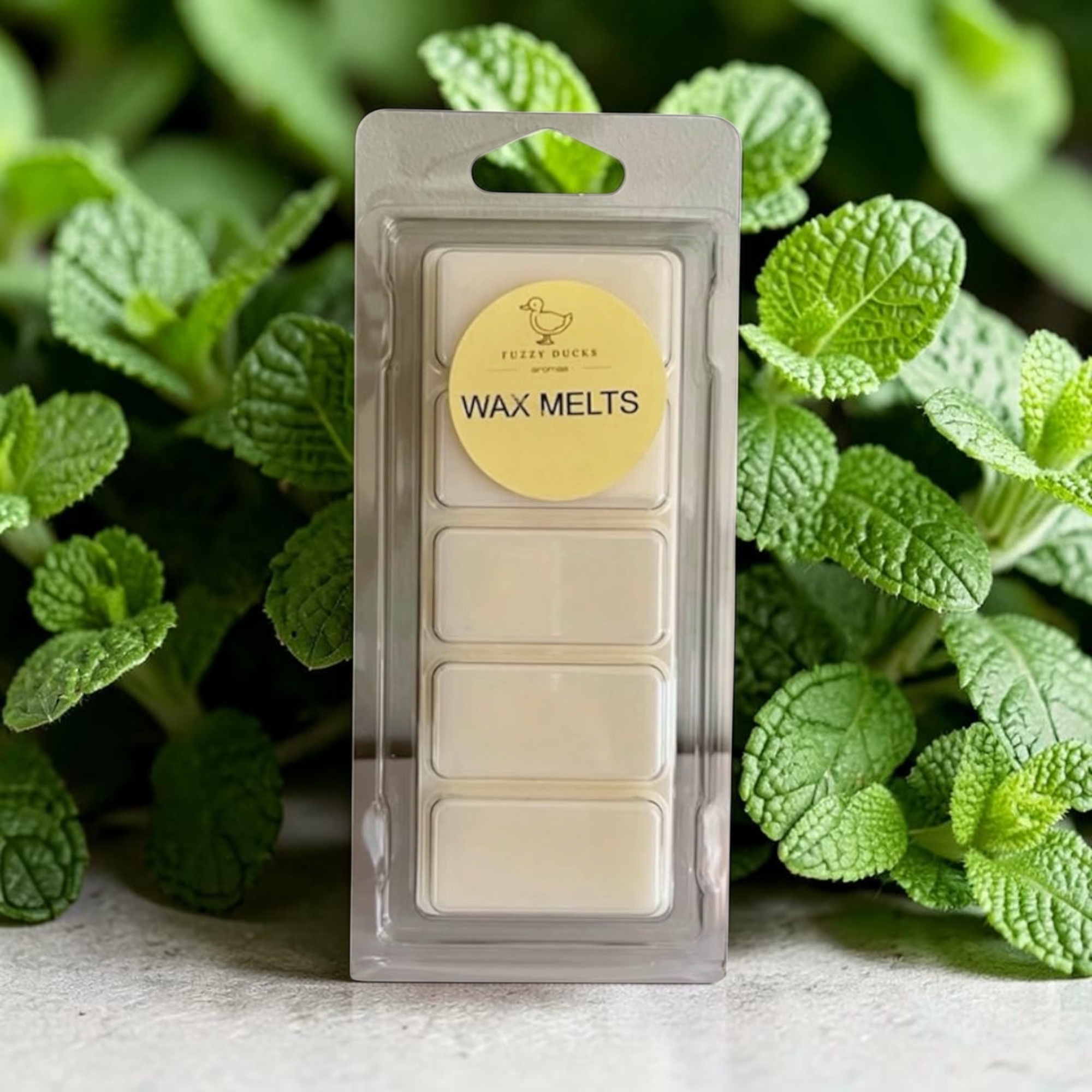 Minty Clean Wax Melts