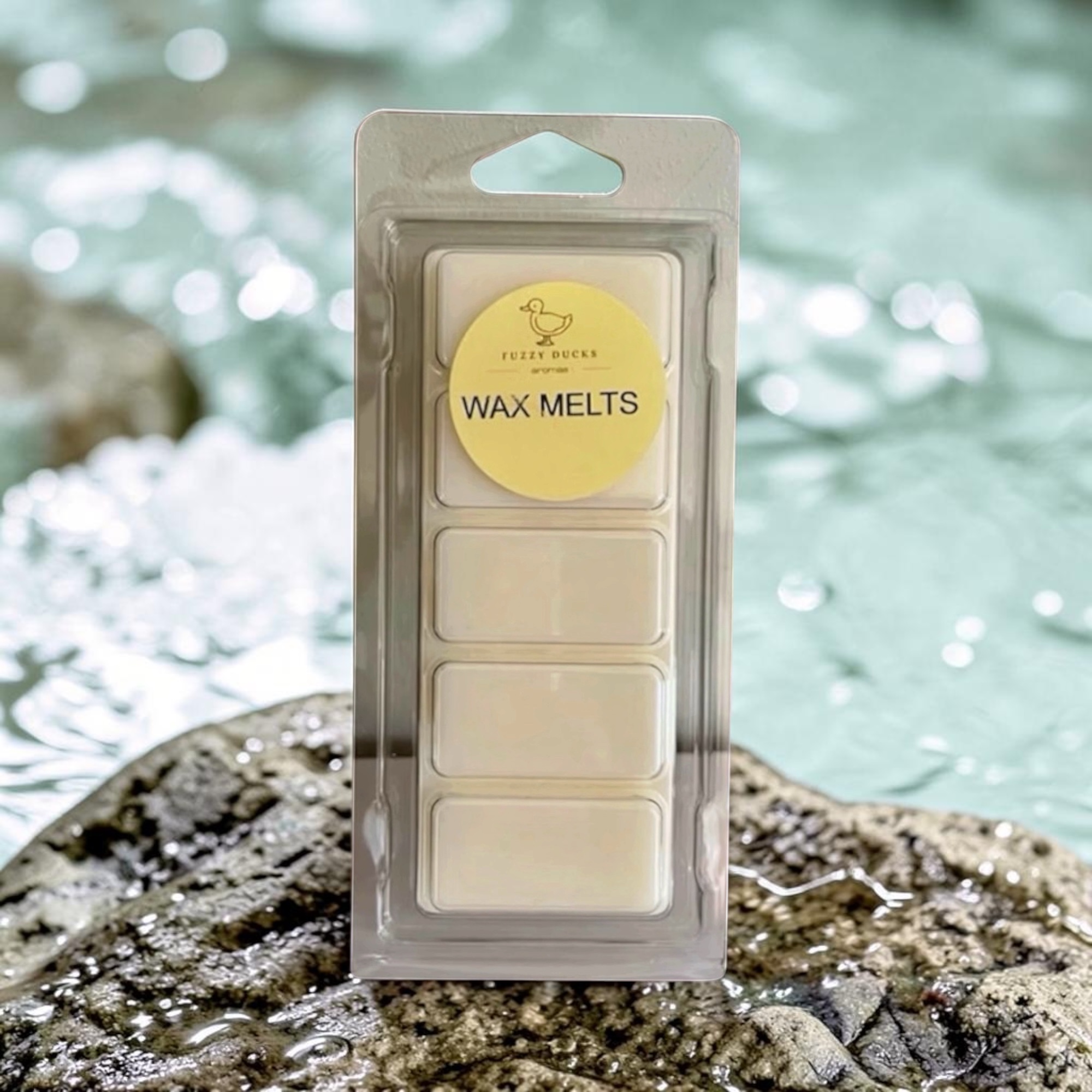 Cold Aqua Wax Melts